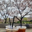 조금느린집 이미지