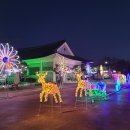 고석정광장 전국매일신문