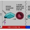 금광기획 이미지