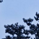 오산면행정복지센터 이미지