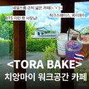 동그란 멍멍이 | 치앙마이 워크스페이스 카페 &lt;tora bake&gt; 추천 후기✨ ㅣ ☕️토라베이크,네일스룸 근처, 카공, 디지털...