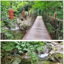 제12대 1차 산행 안내 / 충북 영동 민주지산 이미지