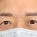 브로우토브