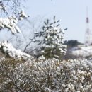 양아목장 이미지