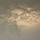 디뮤지엄_취향가옥: Art in Life, Life in Art/ 작가 정리