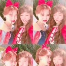 (주)엘티즌 Daum카페