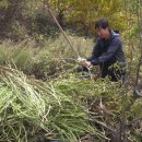 재순농장 이미지