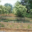 전곡읍-24 이미지