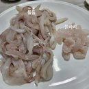 해선횟집 | 용궁시장] 자연산 활어회 전국 최저가 회센터 :: 자연산 돌돔 1kg 4만원 (80번 해선횟집 내돈내산후기)
