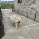 부홍장어구이 이미지