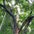 영광 창녕조씨관해공가옥 이미지