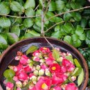 무등펜션 이미지