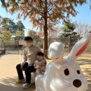 아우내농협 | 아이랑 안성,천안 2박 3일 여행 코스추천 : 안성팜랜드(핑크뮬리,가축놀이한마당)