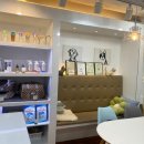 베리독 강아지고양이 평택본점 이미지