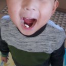 베베키즈팜