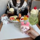 플로트하우스 | 귀여운 카페 모음집 (대구,부산)
