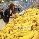 Brother Gym 이미지