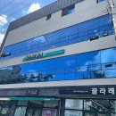 비스타영어학원 - 구리시 건원대로34번길 27 | 영어학원 비스타영어학원 칠곡 왜관읍 가격 후기