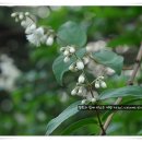 수봉자연학습원 이미지