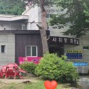 초록나무펜션 이미지