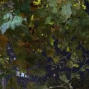 씨유목포제일점 | ᴛɪᴍᴇ ɪꜱ ᴛɪᴄᴋɪɴ