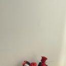 구미꽃집