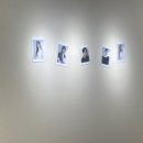 회기 미용실 회기역 미용실 플랜에이치 회기점 경희대 미용실 후기 (레드오렌지 염색 성공✨)