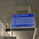 스위스약국 | 🇨🇭 스위스 융프라우 후기｜날씨 예보 흐림이었는데… 결과는? (그린델발트 출발 루트 정리)