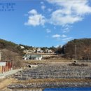 대행목장 이미지