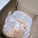 성주에너지 | 아침엔 과일 성주 참외 택배 주문 후기