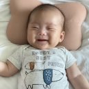 송레코드 이미지