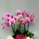 전주완산서초등학교 이미지