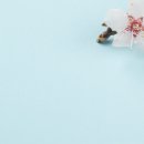 시작한의원 이미지