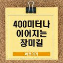 대전 장미 명소 6곳 완전 가이드, 400m 장미거리부터 대청호 장미전시회까지