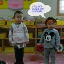 별찌 Daum카페