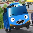 파랑청과 이미지