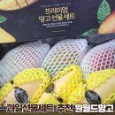 골드오렌지슈가 민박 | 과일선물세트 원월드 애플망고 골드망고 임산부 과일선물 후기
