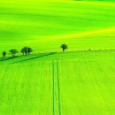 푸른초원 이미지