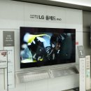 뉴베스트샵 이미지