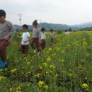 농촌전통테마마을 이미지