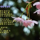 기억의 순간 이미지