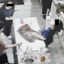 한 동물병원 이미지