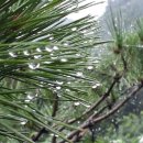 오복펜션 이미지