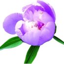 부흥세탁소 이미지