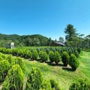 큰마음목장 이미지