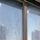 한성크리닝 | 성동구 입주청소로 완성된 깔끔함 도선동 오피스텔 한성아펠타워 복층원룸