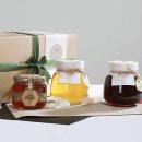 아카시아 이미지