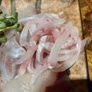 소문난간이횟집 이미지