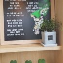 국수나무세종 이미지