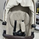 꼬꼬마망 이미지